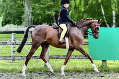 Rennae-Whitelock-and-Menedh-Q.C.-Esquire