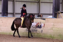 Ashleigh-Hayes-and-Menedh-Poldark