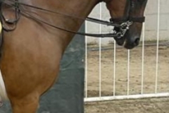 Elyza-ali-hillyard-and-Broadgrove-maydrem