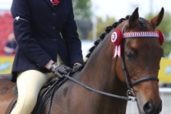 Elyza-ali-hillyard-andTremarl-ladybird