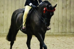 Harrison-bate-and-Valentine-Siw