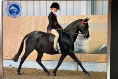 Holly-Dilks-and-Valentinas-Heiress