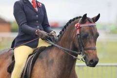 Millen-James-Coulson