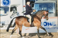 Olivia-Murphy-and-Wycroft-repetition