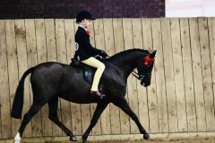 Harrison-bate-and-Valentine-Siw