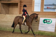 Maci-robinson-Horse_Pony-Mount-pleasant-autumn-dawn