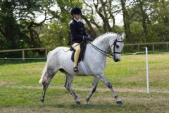 Maddison-Maguire-Horse_Pony-Hollyland-Lion-In-winter