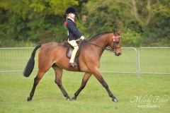 Sophie-Turner-Horse_Pony-Rotherwood-Maestro