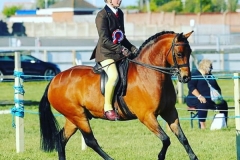 Niamh Green and Mount Pleasant Celtic Mist