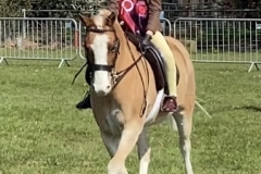 Millie-Rackham-Cobb-and-Halnaker-Malachi