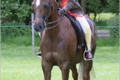 Bonita-Bowman-and-Annandale-Matilda