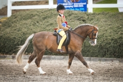 Casey-Lee-Millar-Horse_Pony-Bunbury-Suarez