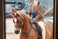 Evie-rose-walsh-Horse_Pony-Newoak-pumpkin-spice