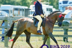 Cerys Holley and Hightopps Saffron