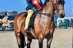 Darcie Dhillon and Sandboro Lovechild