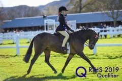 Madison Crane and Mount Pleasant Autumn Dawn copy