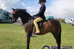 Sam Bentley and Landemann Dandelion