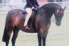 Scarlett Doswell and Ravara Jeremy Fisher