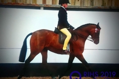 William Hall and Seatshill Daisy May