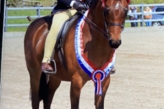 Poppy-Baxter-Davies-and-Roxairs-Aphrodite