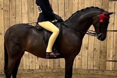 Lilly-Richardson-and-Whiteleaze-Pollyanna