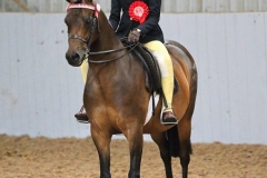 Peggie-Lancaster-and-Braeglen-Toyfair