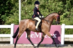 Tilly-Richards-and-Broadgrove-Dimension