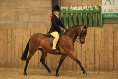 Gracie-Griffiths-Horse_Pony-Rowden-Holly-Go-Lightly