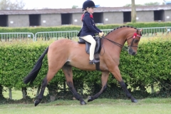 Jemima-Makin-Jones-Horse_Pony-Rotherwood-Spring-Rain