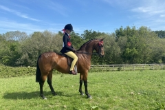 Ruby-rodgers-and-Wycroft-forget-me-not