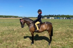 Bluebell-Hylton-Beechey-and-Excelsis-Laudamus