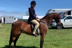 Cerys-holley-and-Rotherwood-toy-chorus