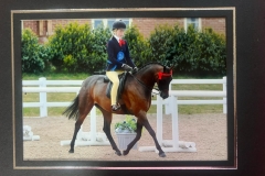 1_Lilly-Richardson-Horse_Pony-Centurion-Prince-Regent