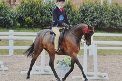 Lilly-Richardson-Horse_Pony-Centurion-Prince-Regent