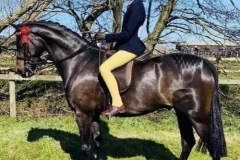 Gracie-Mccaffrey-and-Elmeswood-rising-sun