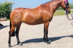 Victoria-Harker-and-Roseberry-jubilation