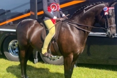 Ellie-harrington-and-Basford-black-prince