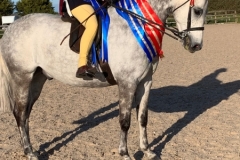 Maddison-Maguire-and-Hollyland-Lion-In-winter