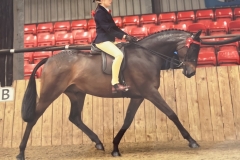 Katie-Parker-Horse_Pony-Diptford-Majic-Wand