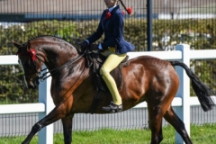 Amelia Lockhart and Sparkton Spring Orchard of Hamptonne