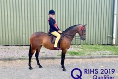 Cerys Holley and Mount Pleasant Welsh Rose 1