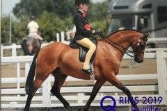 Emma Harker and Ardenhall Blenheim