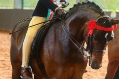 Lily-Richardson-and-Whiteleaze-Pollyanna