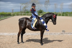Alexia-Lilley-Horse_Pony-Okewood-Echo