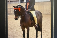 Lilly-Richardson-and-Whiteleaze-Pollyanna