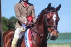 Scarlett Williams and Wortley dragoon copy