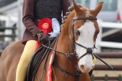 Ava-Lambert-and-Greendown-Ozzy