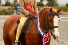 Mati-Davies-and-Synod-ieuan