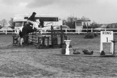 Annie-shimwell-edgar-and-Angel-of-the-North