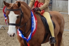 Mati-Davies-and-Synod-Ieuan